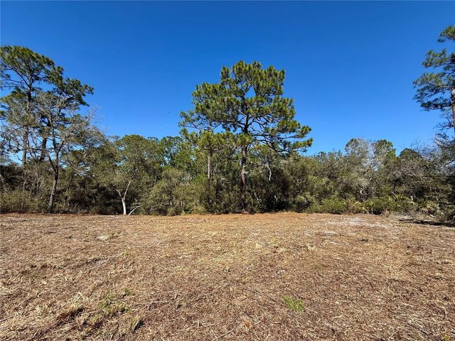 LOT 11 POINCIANA STREET, Eustis, FL 32736