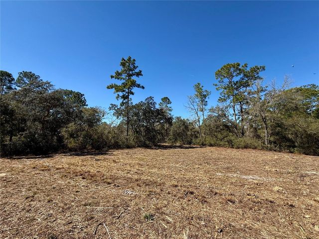 LOT 11 POINCIANA STREET, Eustis, FL 32736