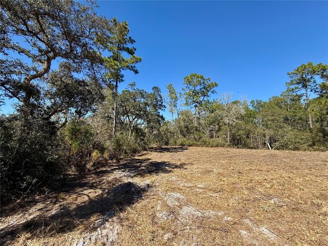 LOT 11 POINCIANA STREET, Eustis, FL 32736