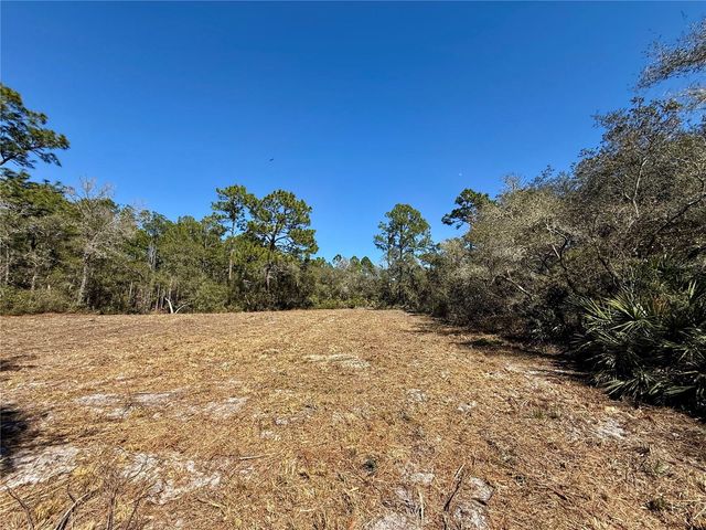 LOT 11 POINCIANA STREET, Eustis, FL 32736