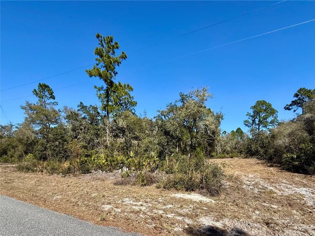 LOT 11 POINCIANA STREET, Eustis, FL 32736