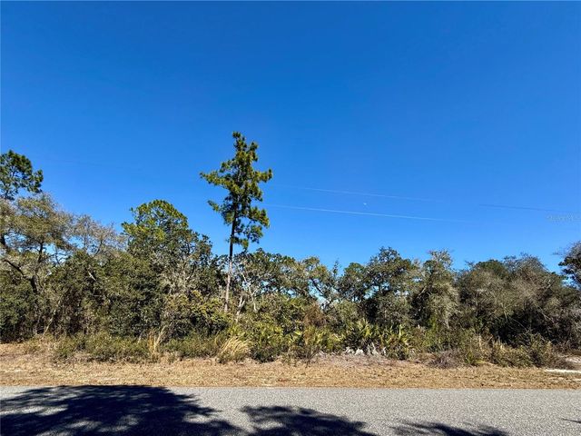 LOT 11 POINCIANA STREET, Eustis, FL 32736