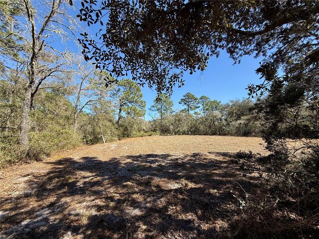 LOT 11 POINCIANA STREET, Eustis, FL 32736