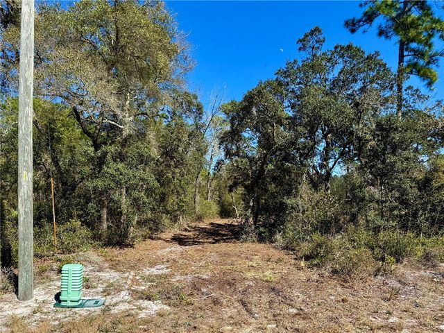 LOT 11 POINCIANA STREET, Eustis, FL 32736