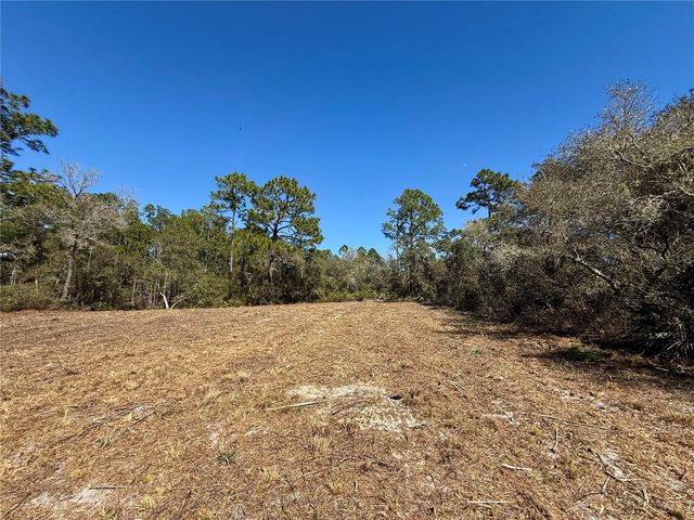 LOT 11 POINCIANA STREET, Eustis, FL 32736