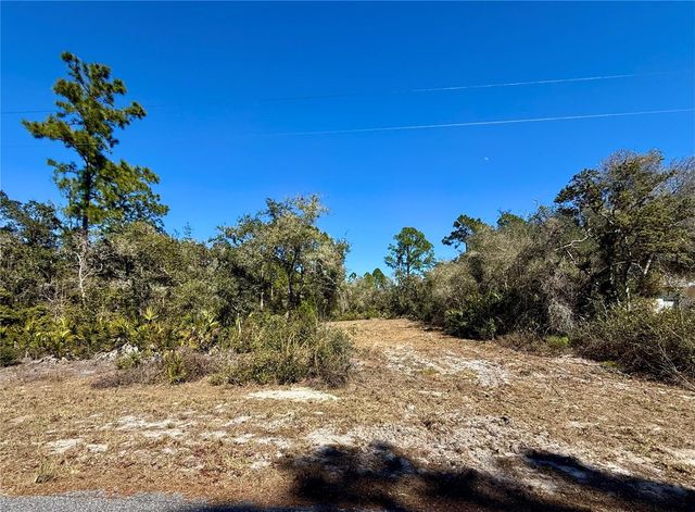 LOT 11 POINCIANA STREET, Eustis, FL 32736