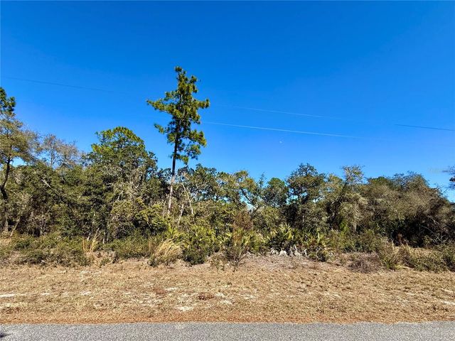 LOT 11 POINCIANA STREET, Eustis, FL 32736