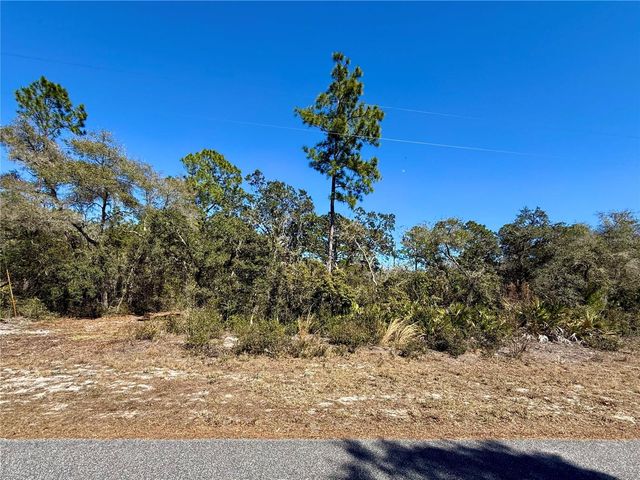 LOT 11 POINCIANA STREET, Eustis, FL 32736