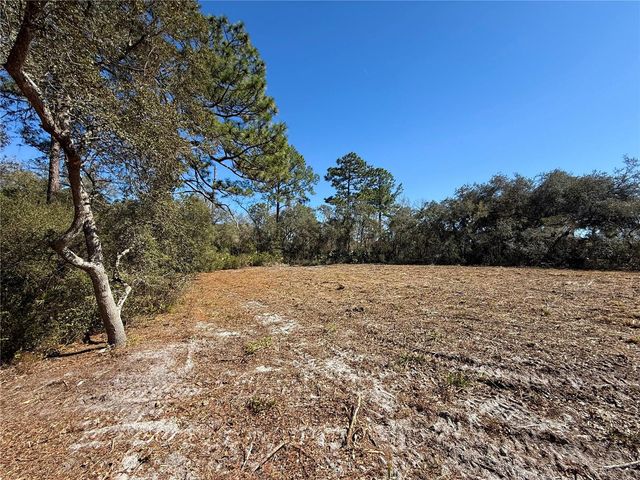 LOT 11 POINCIANA STREET, Eustis, FL 32736