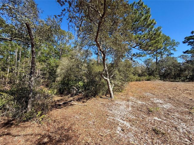 LOT 11 POINCIANA STREET, Eustis, FL 32736