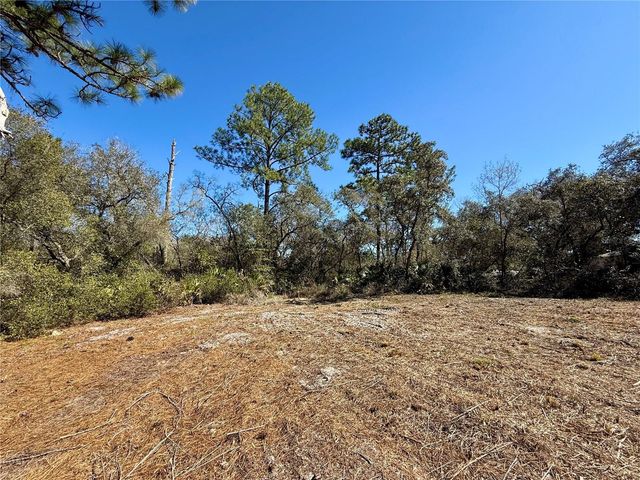 LOT 11 POINCIANA STREET, Eustis, FL 32736