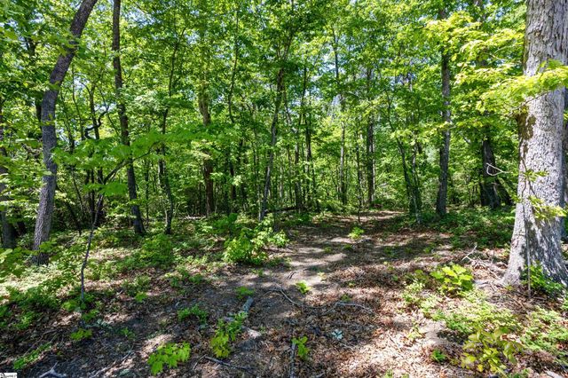 120 Chestnut Mountain Road, Travelers Rest, SC 29690