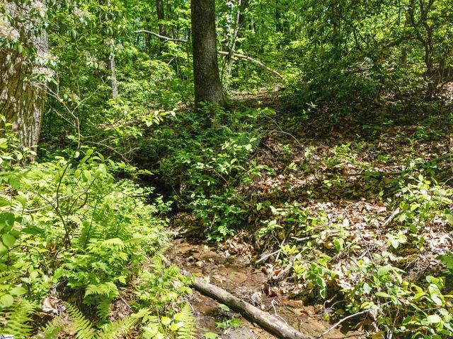 120 Chestnut Mountain Road, Travelers Rest, SC 29690