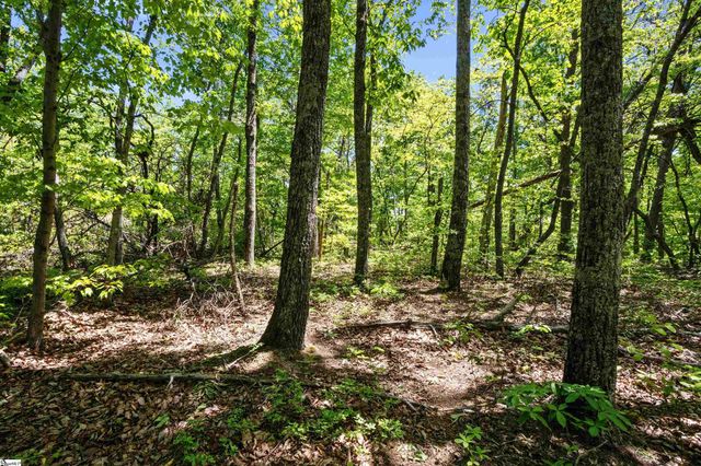 120 Chestnut Mountain Road, Travelers Rest, SC 29690