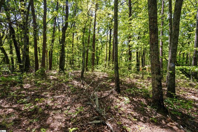 120 Chestnut Mountain Road, Travelers Rest, SC 29690