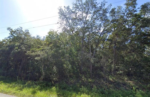 0 AKINS DRIVE, Spring Hill, FL 34610