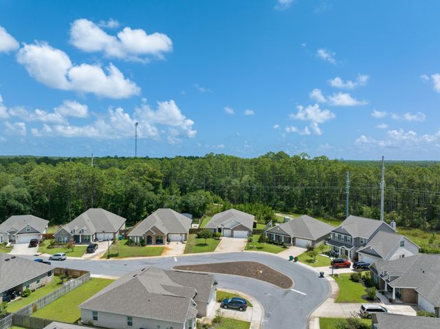 220 Conner Circle, Santa Rosa Beach, FL 32459