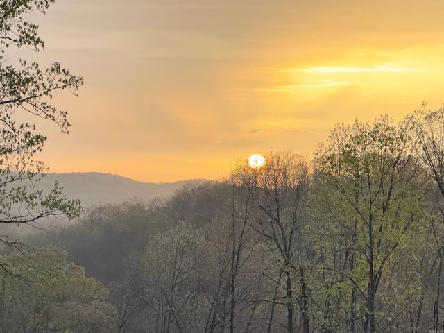 151 Rich Hollow, Batesville, AR 72501