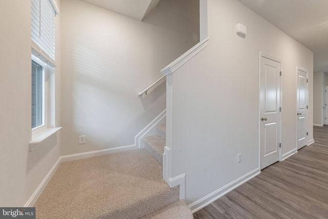 169 TIGNEY DR., Stephens City, VA 22655