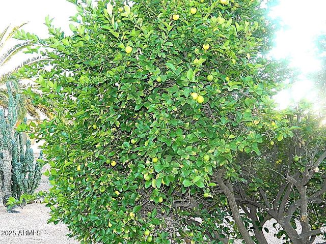 15025 W YOSEMITE Drive, Sun City West, AZ 85375