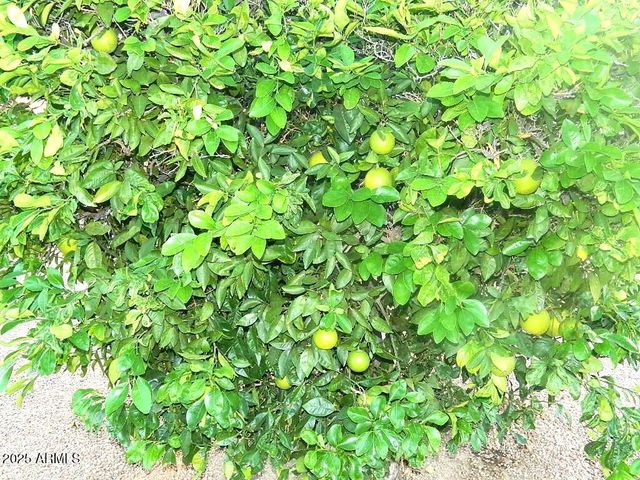 15025 W YOSEMITE Drive, Sun City West, AZ 85375