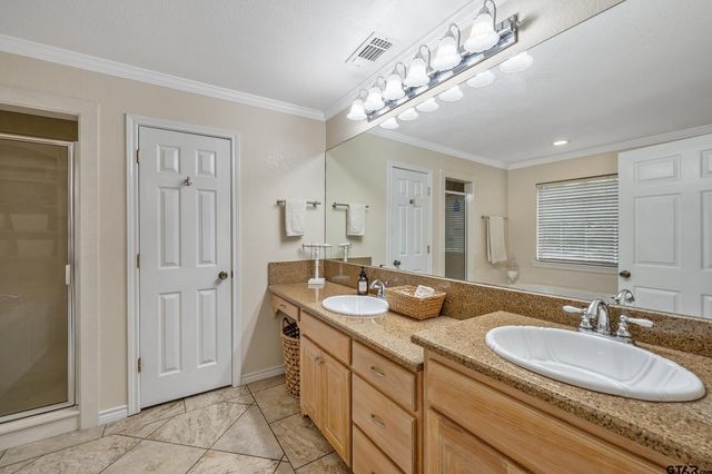 16691 South Lakeview Drive, Troup, TX 75789