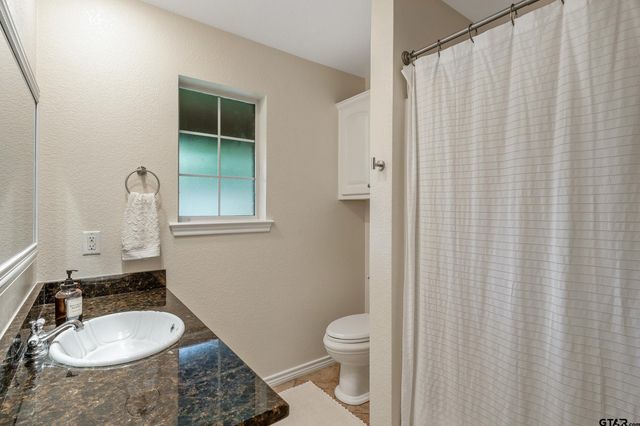 16691 South Lakeview Drive, Troup, TX 75789