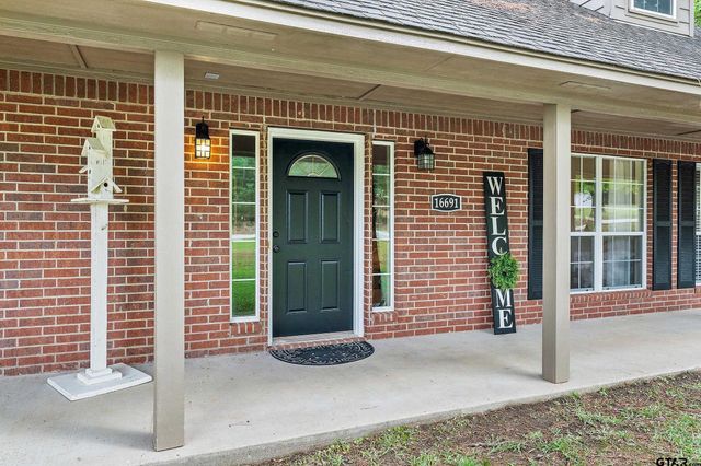 16691 South Lakeview Drive, Troup, TX 75789