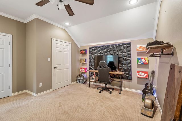 16691 South Lakeview Drive, Troup, TX 75789