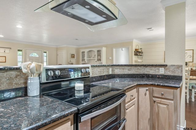 16691 South Lakeview Drive, Troup, TX 75789