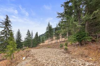 321 Innsbruck Drive, Snoqualmie Pass, WA 98068