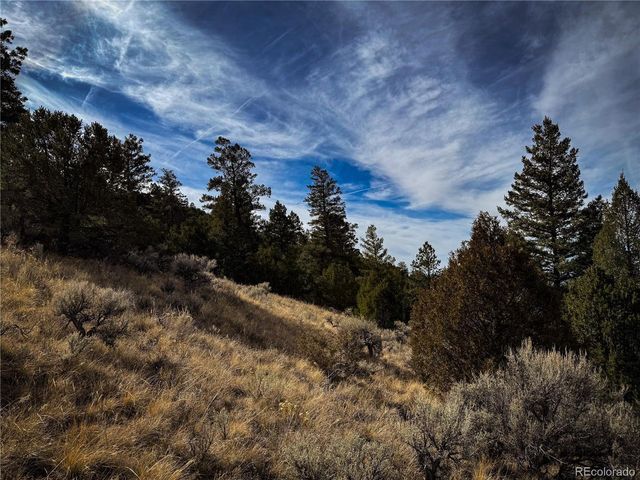 0 Jaidi Rd, Fort Garland, CO 81133