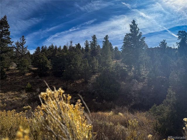 0 Jaidi Rd, Fort Garland, CO 81133