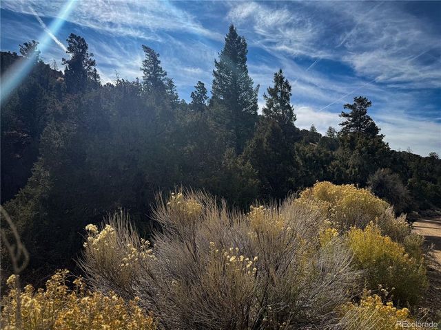 0 Jaidi Rd, Fort Garland, CO 81133