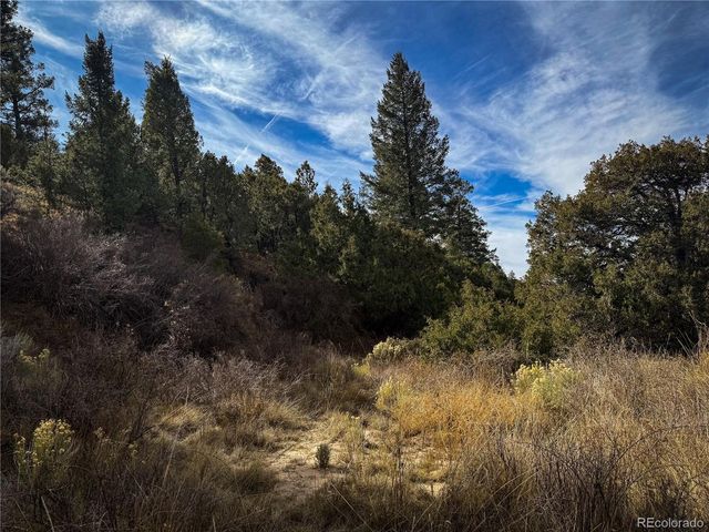 0 Jaidi Rd, Fort Garland, CO 81133