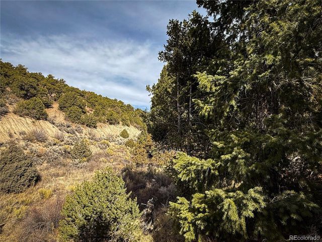 0 Jaidi Rd, Fort Garland, CO 81133