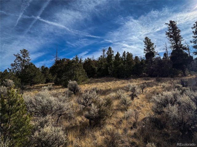 0 Jaidi Rd, Fort Garland, CO 81133