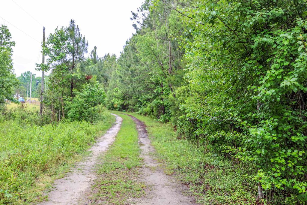 581 Roberts Rd., Aynor, SC 29511 — photo 5