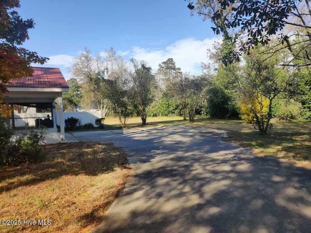 33 Gapway Road, Fair Bluff, NC 28439