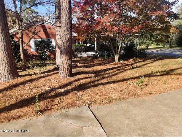 33 Gapway Road, Fair Bluff, NC 28439