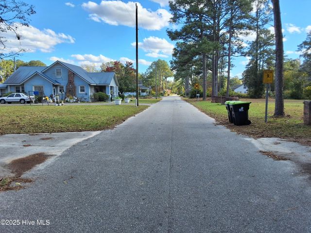 33 Gapway Road, Fair Bluff, NC 28439