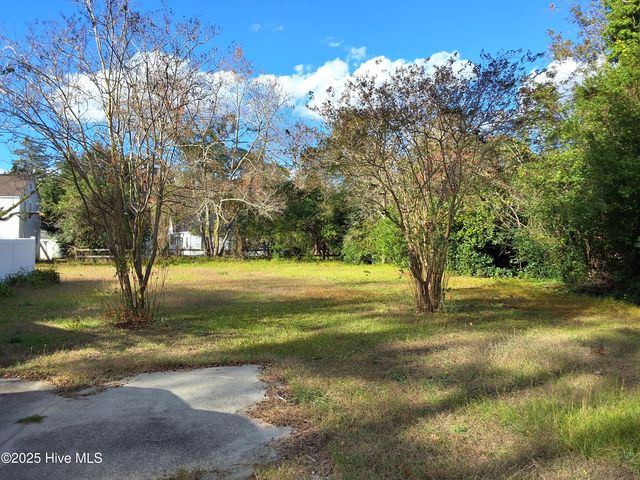 33 Gapway Road, Fair Bluff, NC 28439