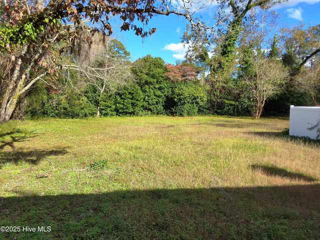 33 Gapway Road, Fair Bluff, NC 28439