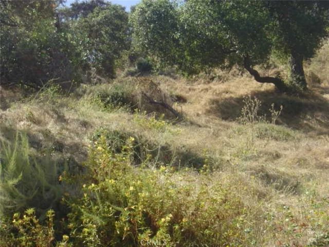 1990 Bayberry, Glendale, CA 91208