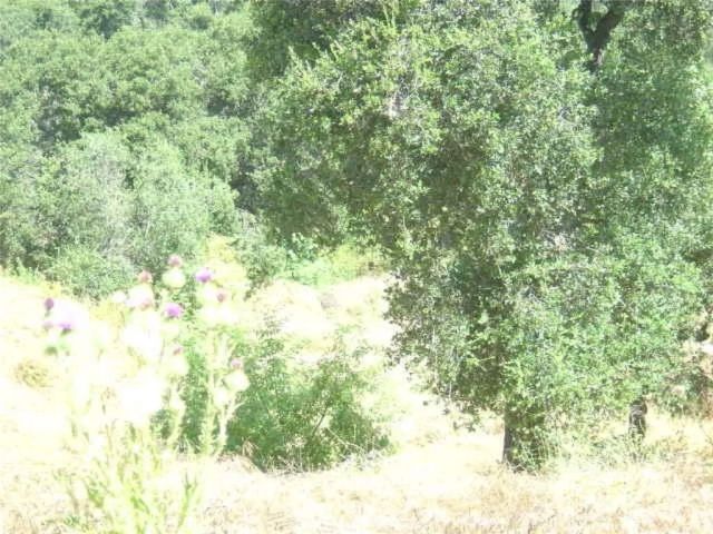 1990 Bayberry, Glendale, CA 91208