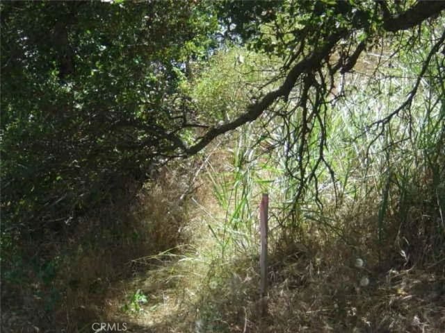 1990 Bayberry, Glendale, CA 91208