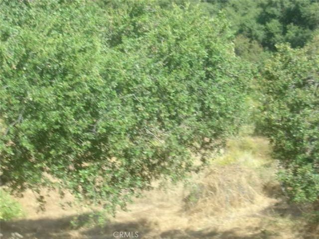 1990 Bayberry, Glendale, CA 91208