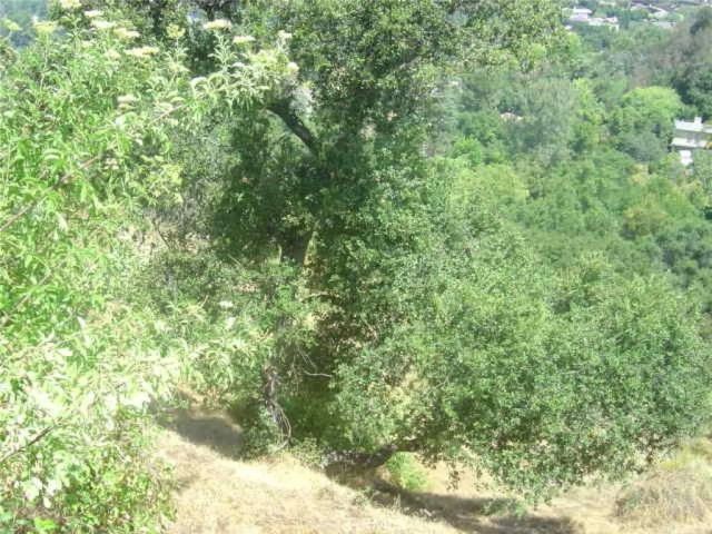 1990 Bayberry, Glendale, CA 91208