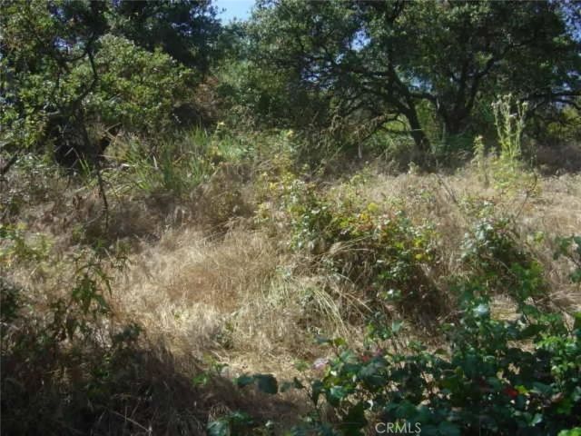 1990 Bayberry, Glendale, CA 91208