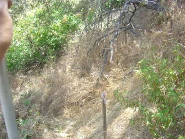 1990 Bayberry, Glendale, CA 91208